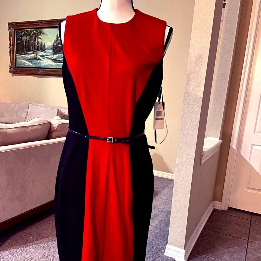 Calvin Klein Colorblock Red / Black 8 Dress